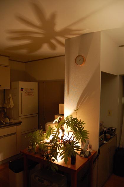 DSC_0001.JPG